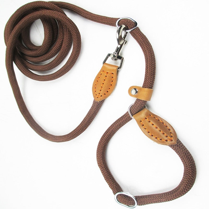 Leash Nylon Slip Rope