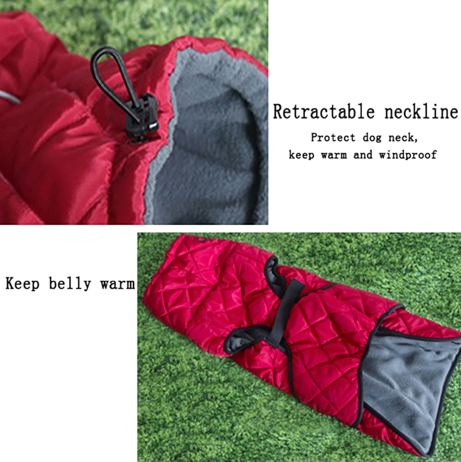 Winter Down Jacket Water and WindProof XS-XL