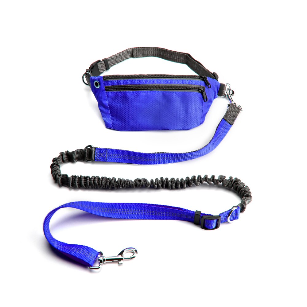 Leash Hands Free Bungee belt with pocket