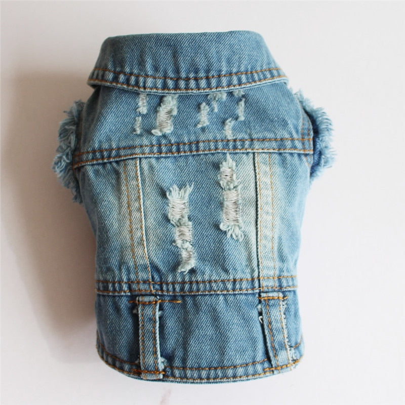 Jean Jacket Miss Doggy