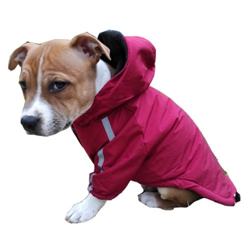 Winter Reflective Waterproof The Dog Face