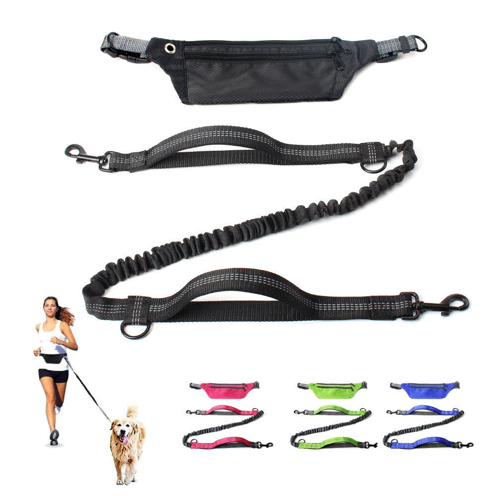 Leash Hands Free Bungee belt with pocket