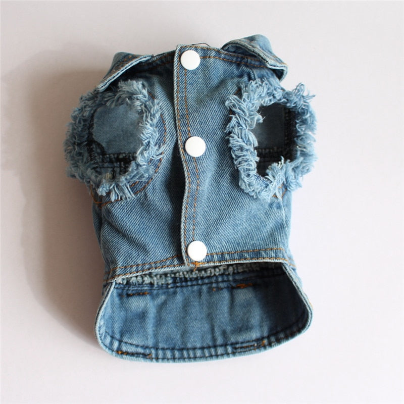 Jean Jacket Miss Doggy