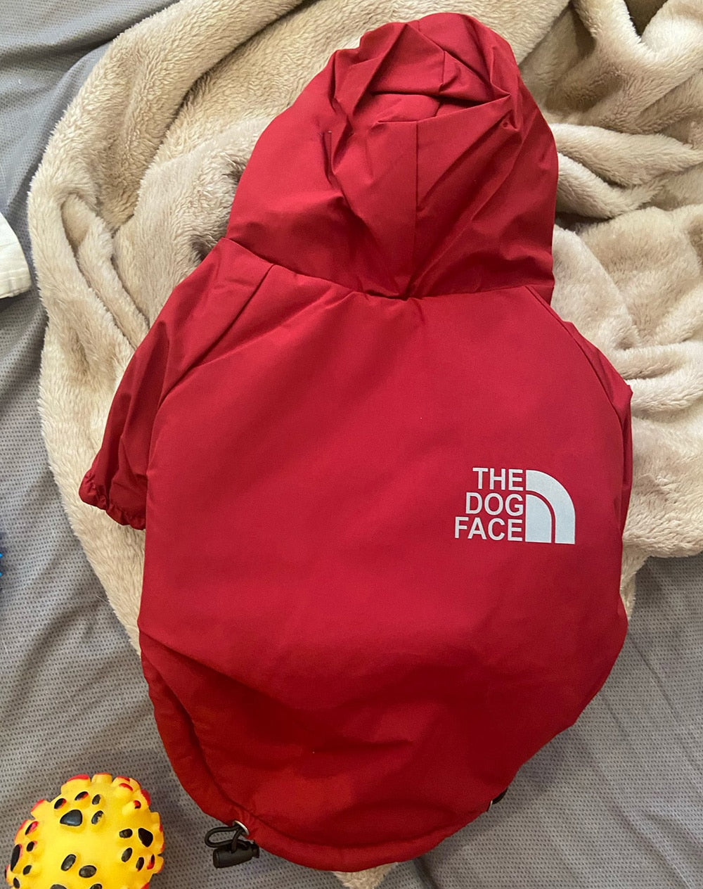Winter Reflective Waterproof The Dog Face