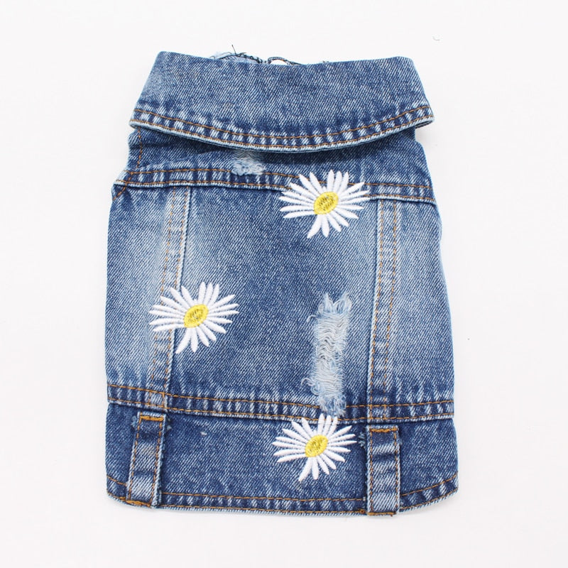 Jean Jacket Miss Doggy