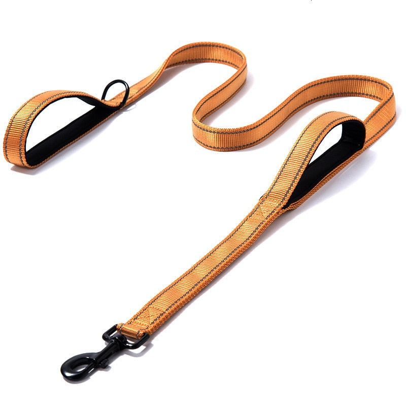 Leash two handle reflective