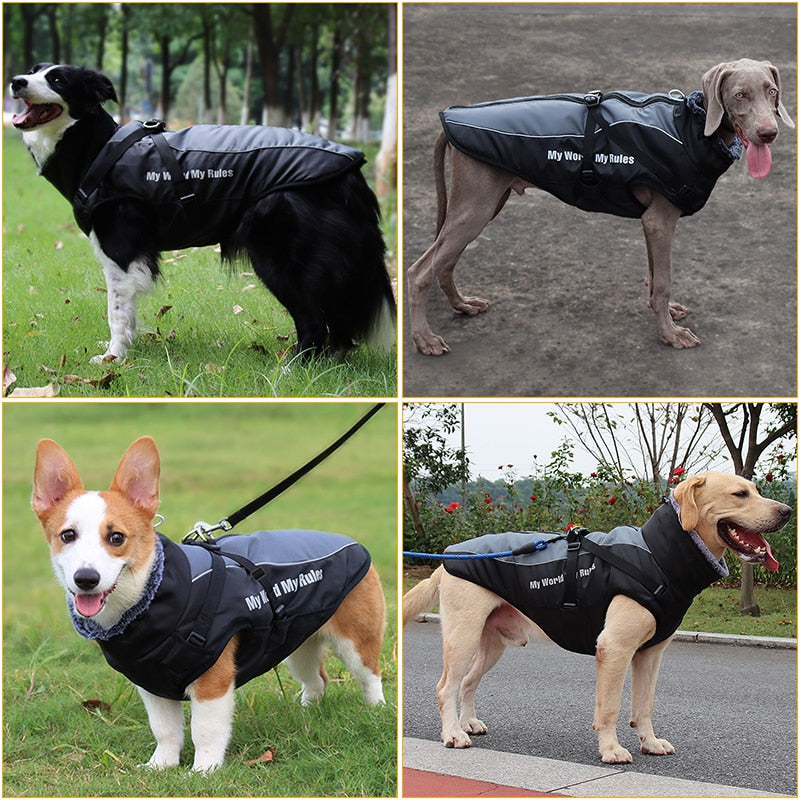 Winter Jacket with Fur Neck for Large Dogs