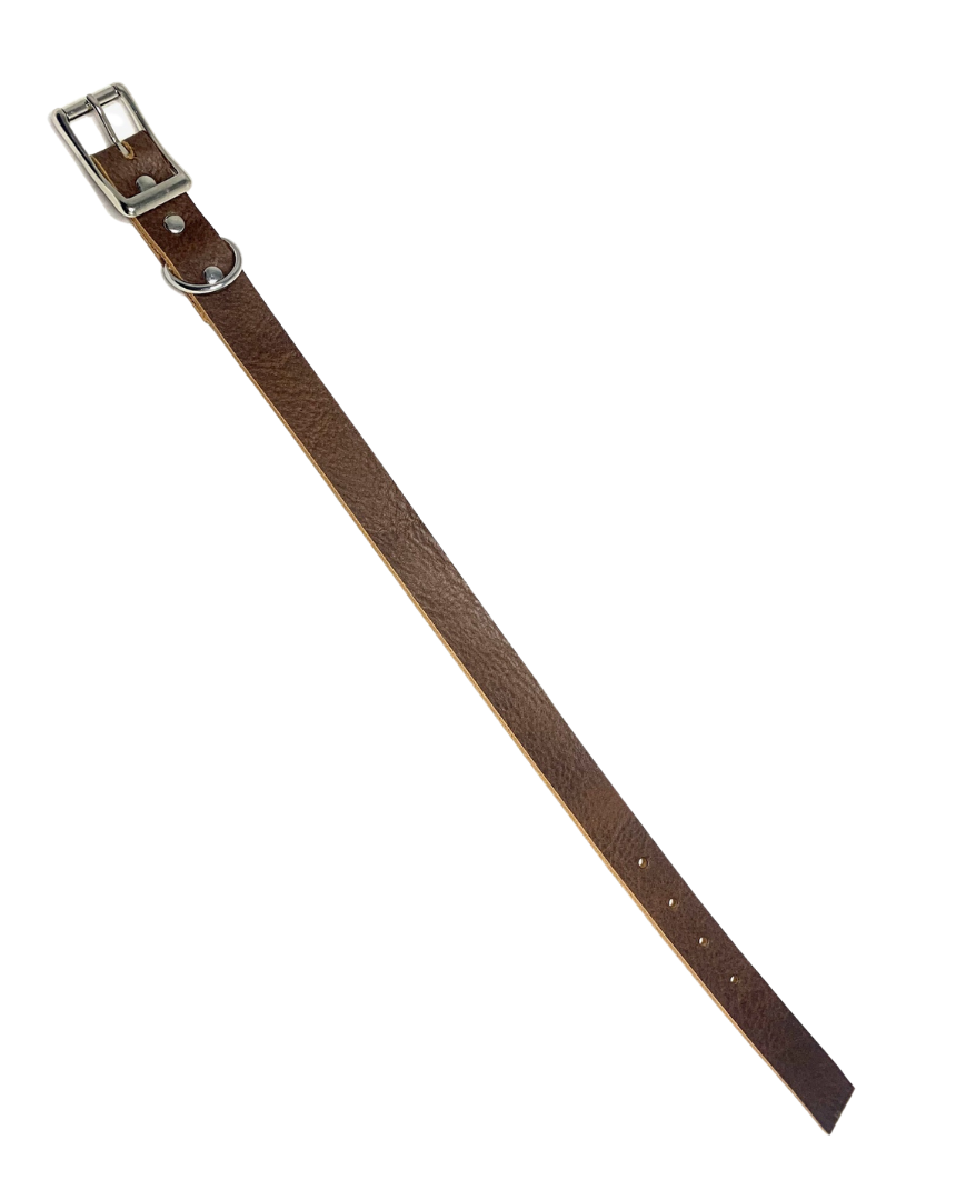 Leather Dog Collar | Kodiak Collection | No Ring