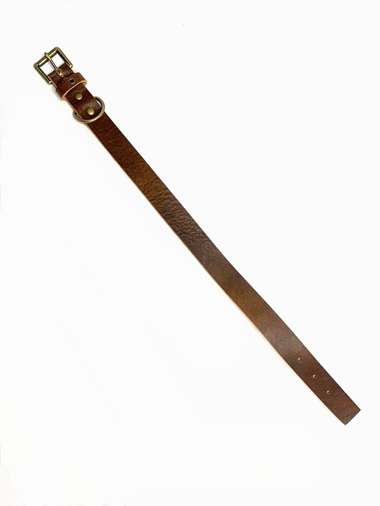 Leather Dog Collar | Kodiak Collection | No Ring