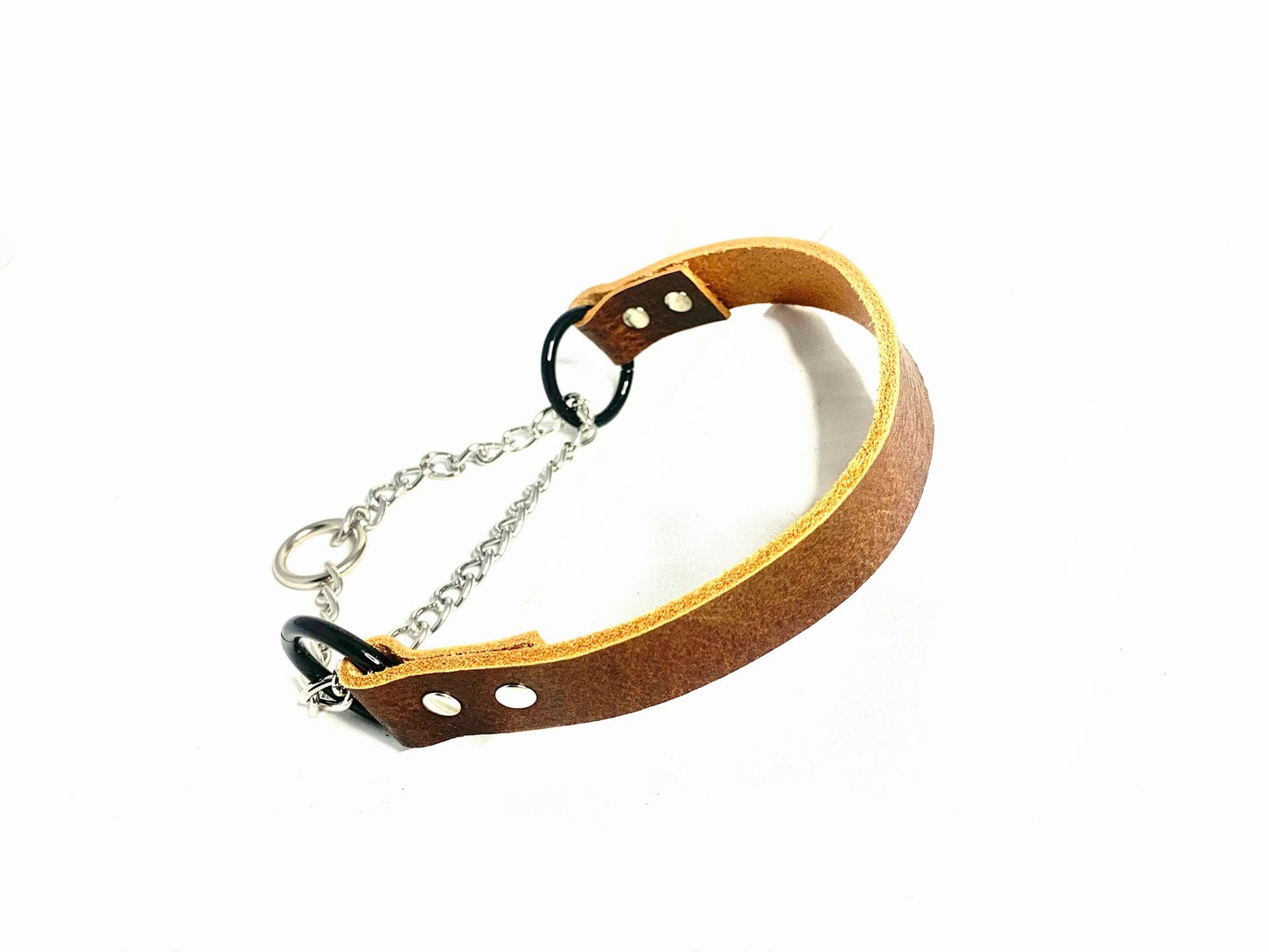 Leather Dog Collar | Kodiak Collection | Martingale