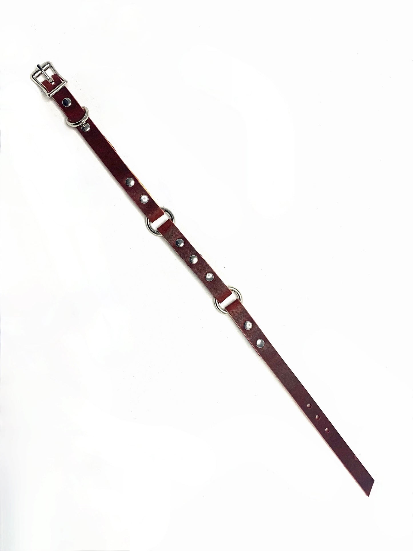 Leather Dog Collar | Morigu Collection | Two Rings