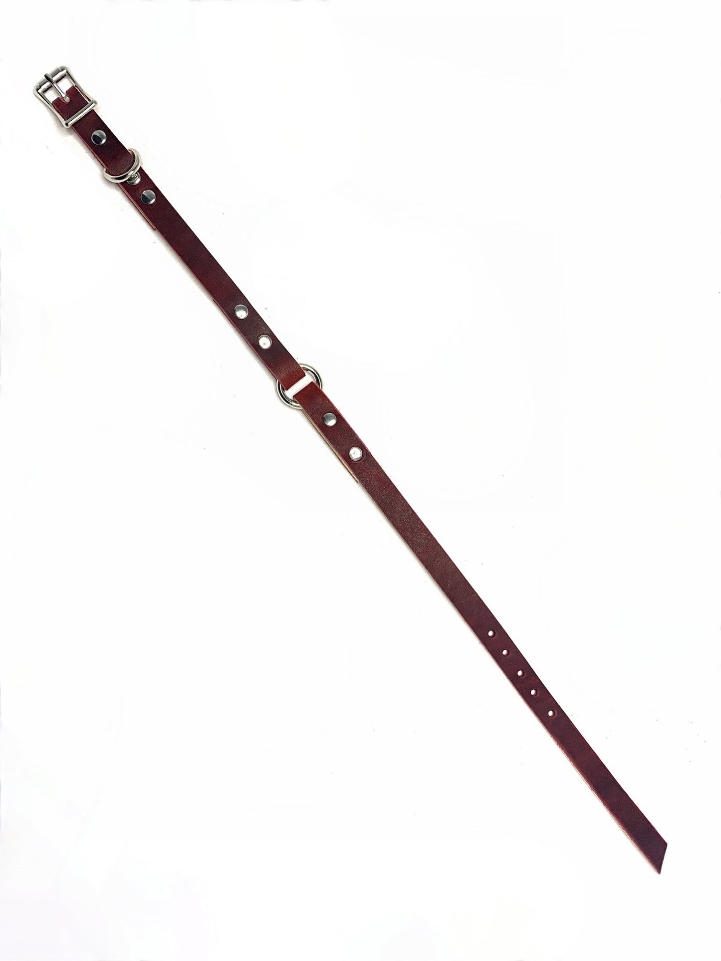 Leather Dog Collar | Morigu Collection | One Ring