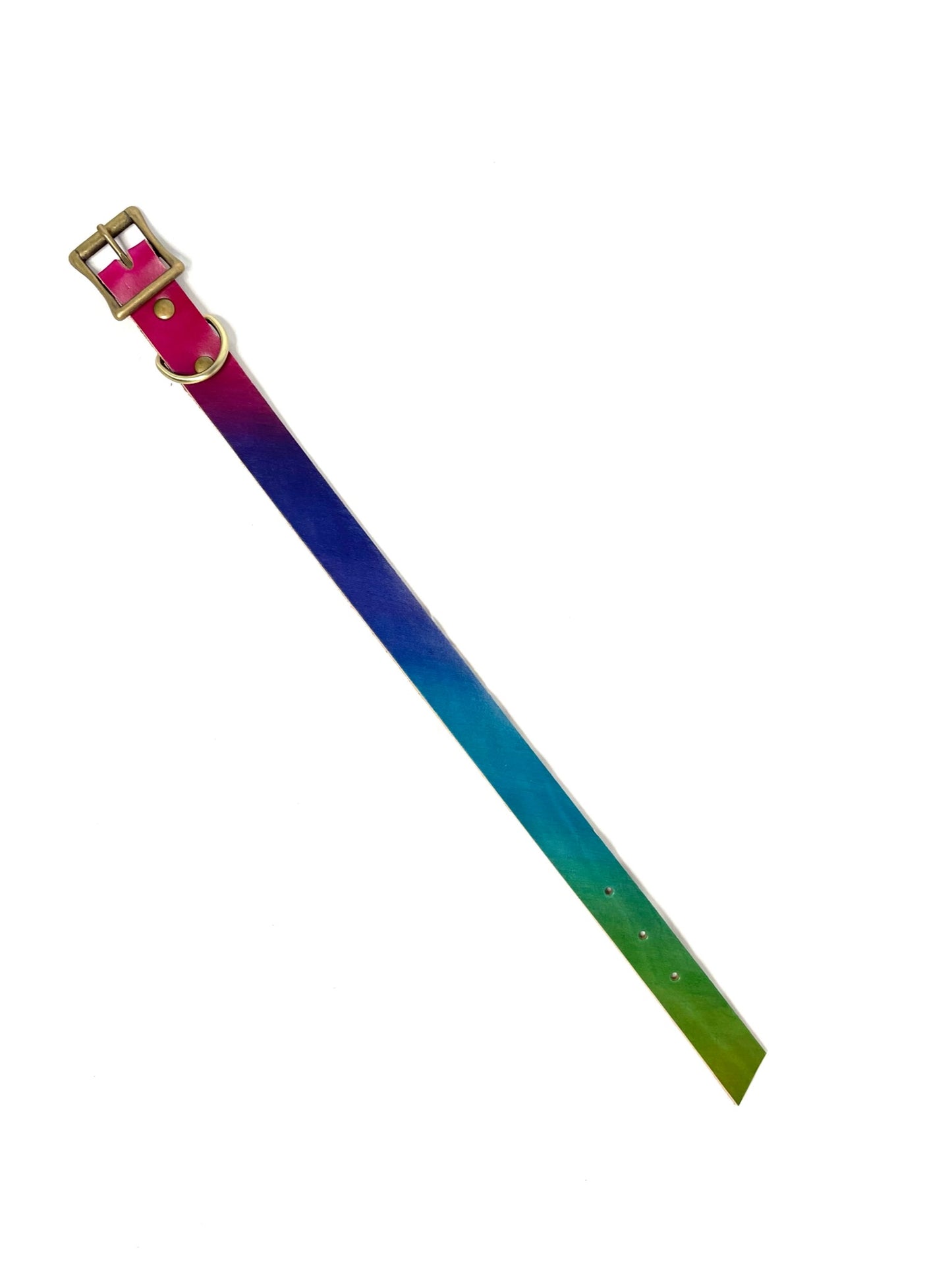 Leather Dog Collar | Rainbow Bright Collection | No Rings