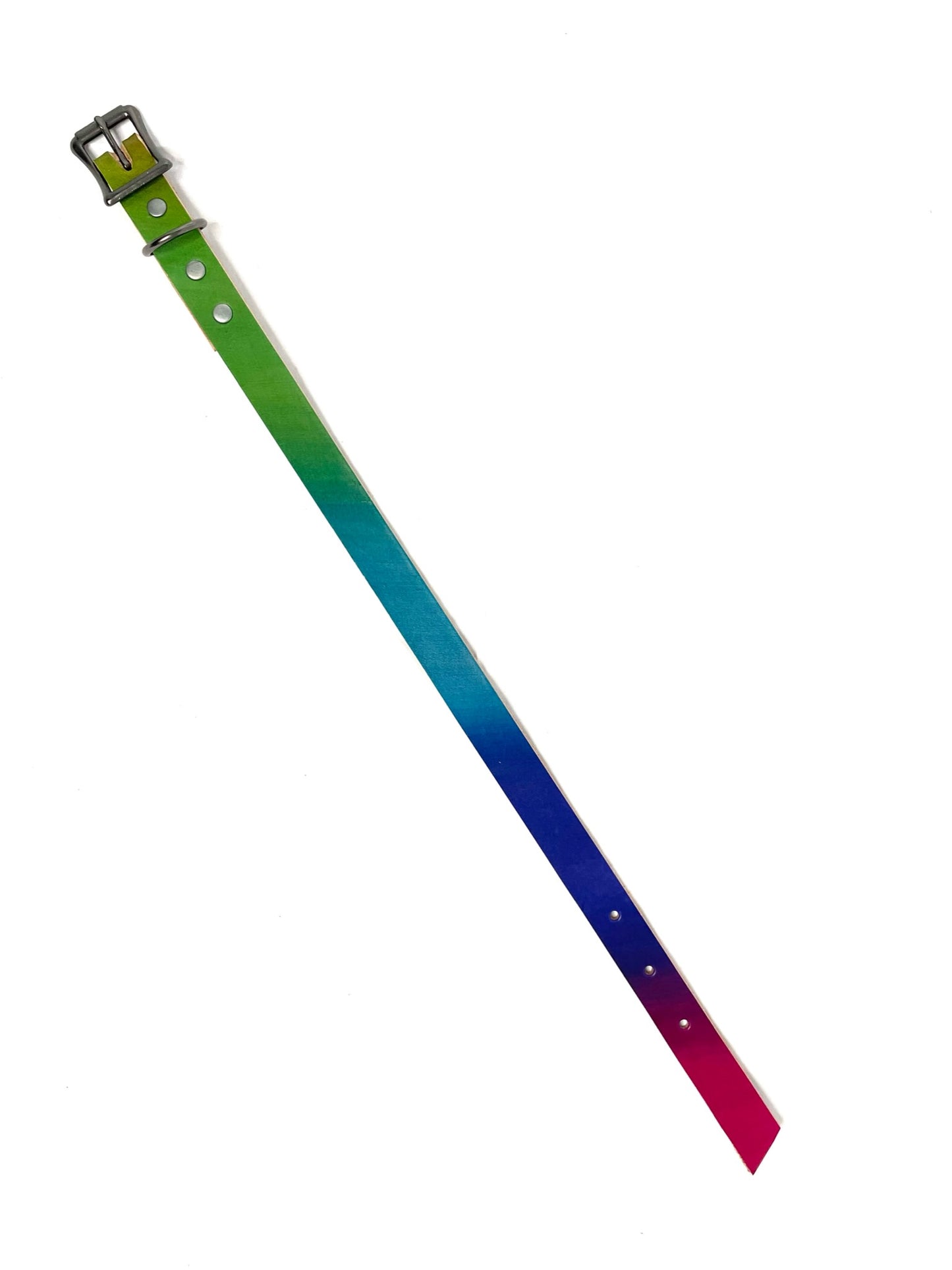 Leather Dog Collar | Rainbow Bright Collection | No Rings
