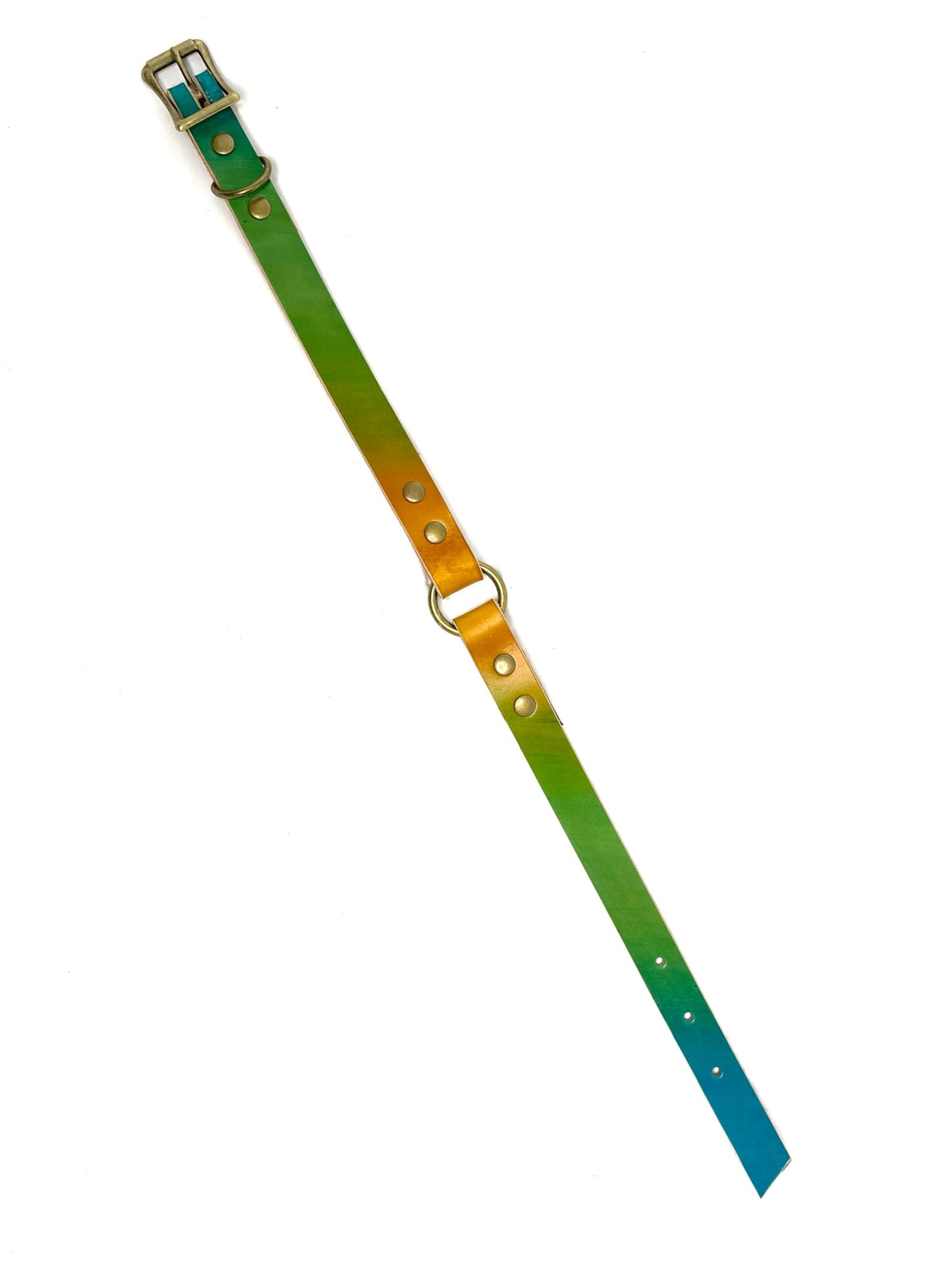 Leather Dog Collar | Rainbow Bright | One Ring