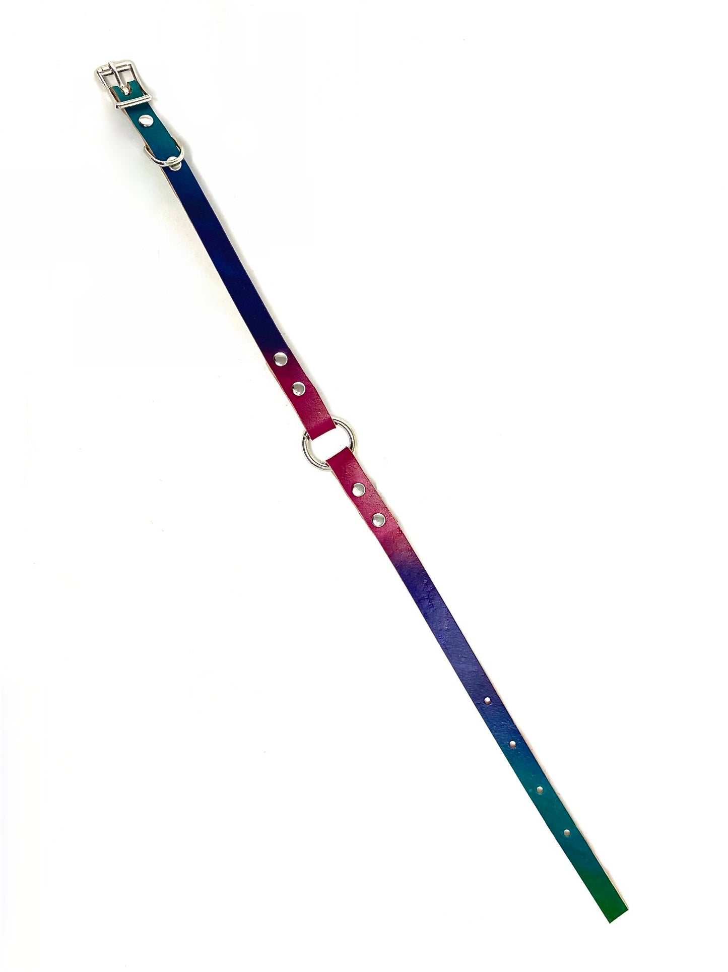 Leather Dog Collar | Rainbow Bright | One Ring