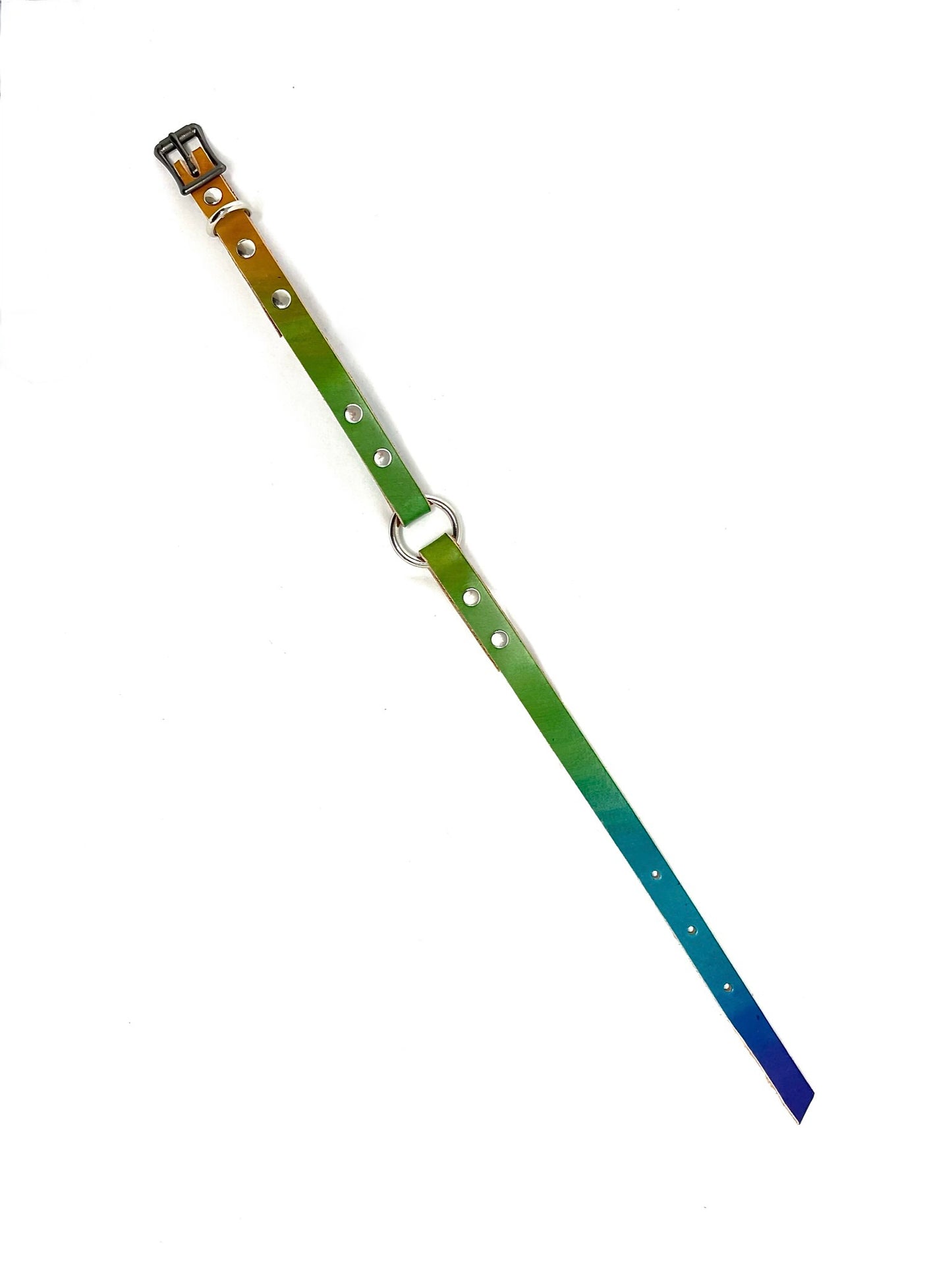 Leather Dog Collar | Rainbow Bright | One Ring