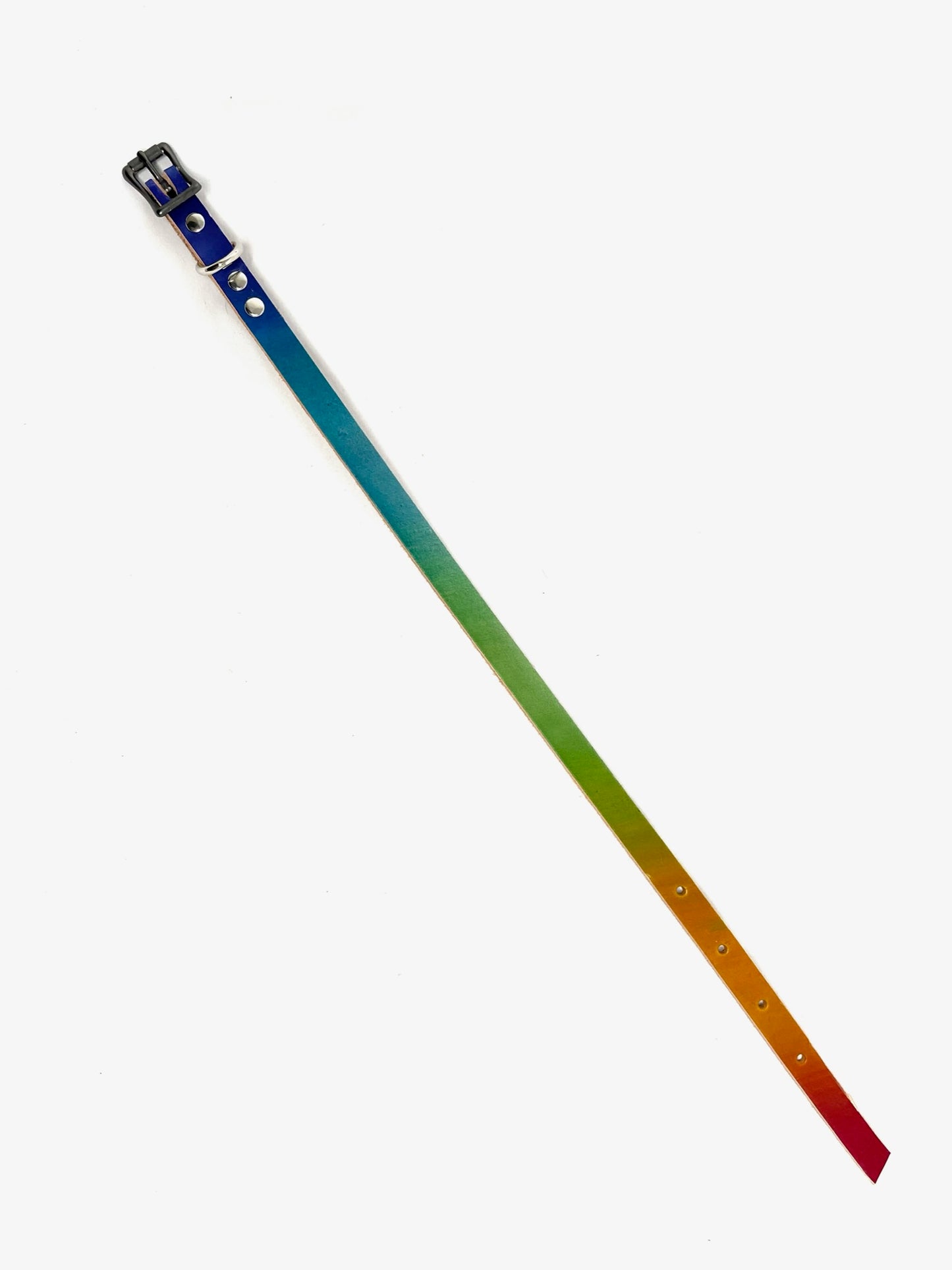 Leather Dog Collar | Rainbow Bright Collection | No Rings
