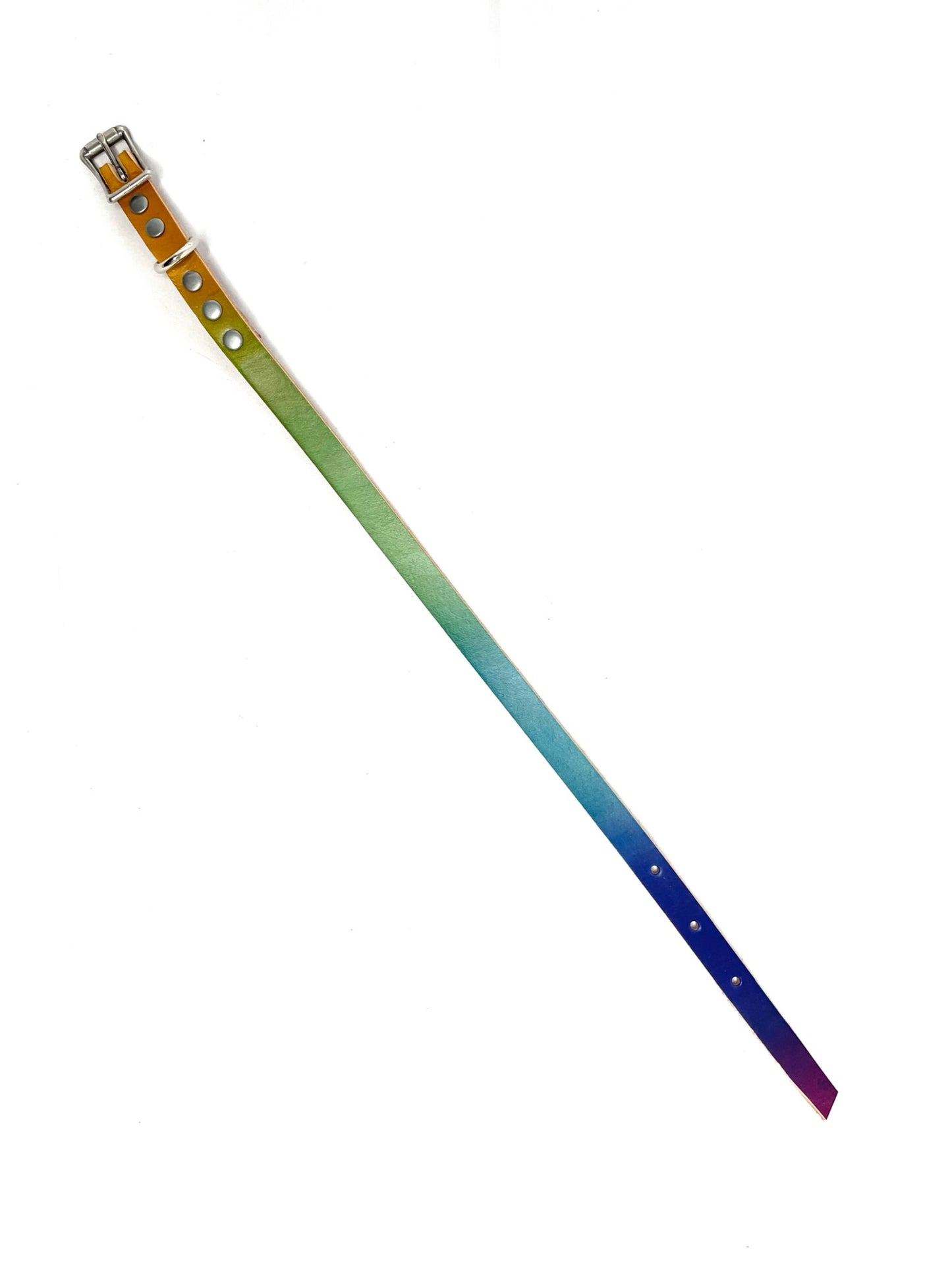 Leather Dog Collar | Rainbow Bright Collection | No Rings