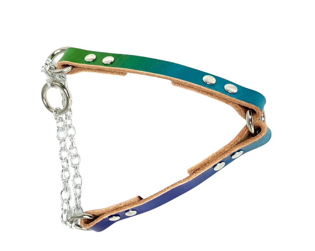 Leather Dog Collar | Rainbow Bright Collection | Martingale