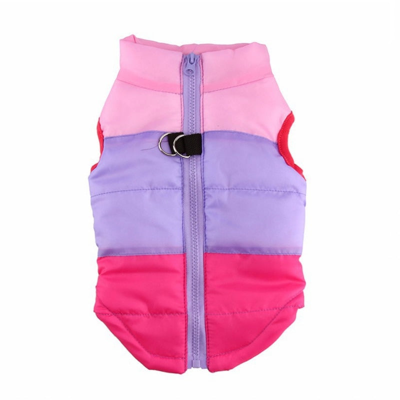 Winter puffy Jacket colorful