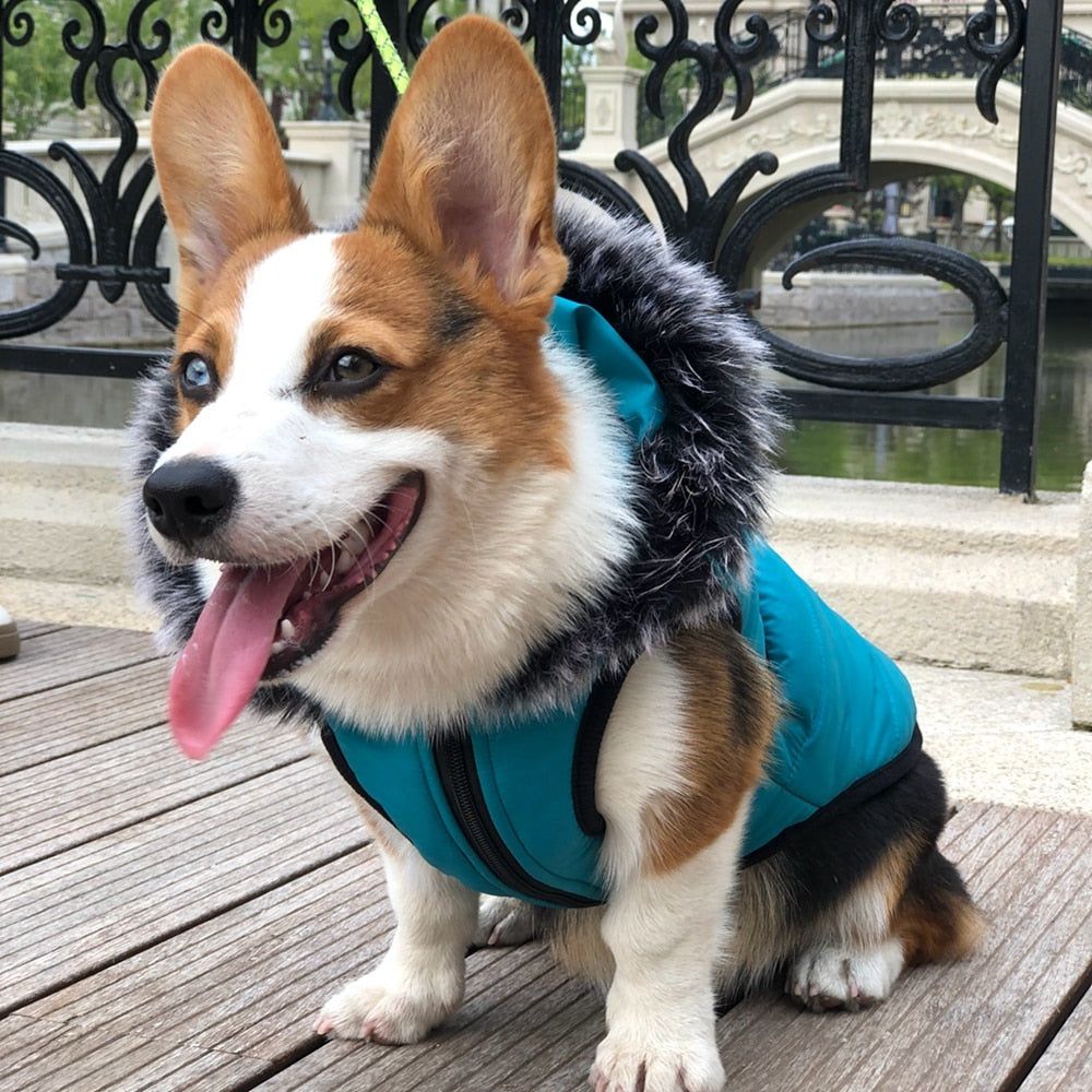 Winter Pet Dog Coat Dog Jacket with Harness Warm Soft Windproof with Hooded S-XXL with Zipper for Small Medium Dogs