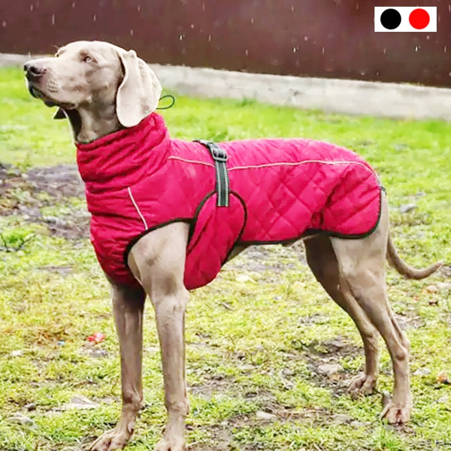 Winter Down Jacket Water and WindProof XS-XL