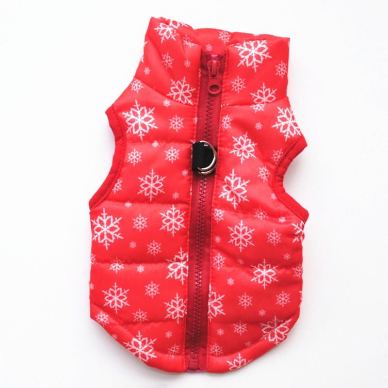 Winter puffy Jacket colorful