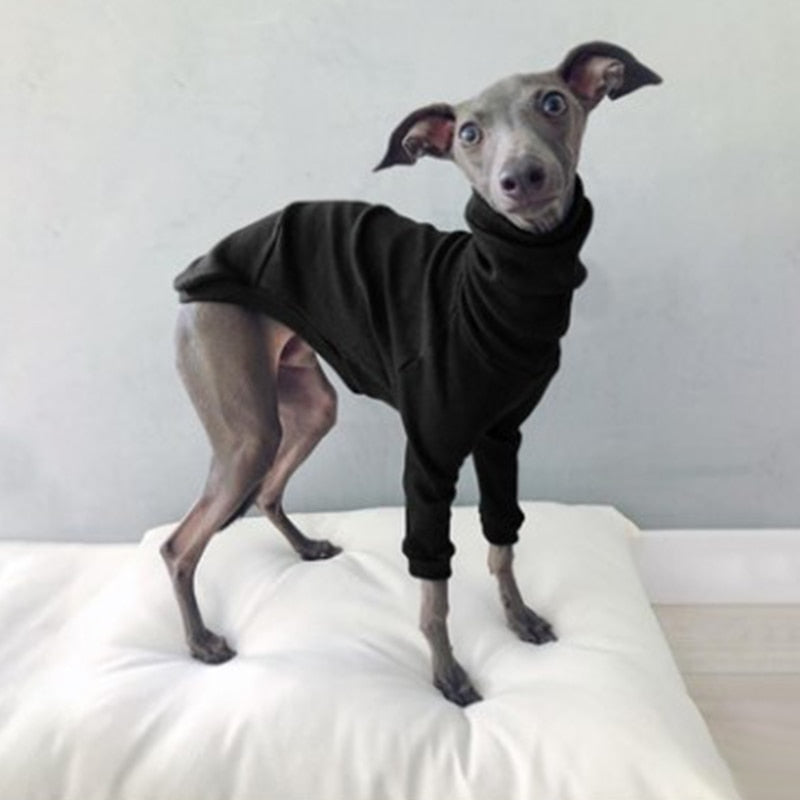 Pullover sweater small to large dogs