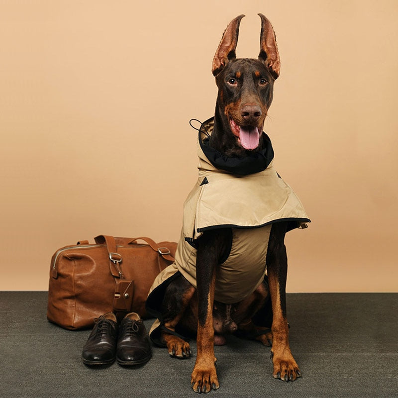 Winter Classic Trench Coat large dogs