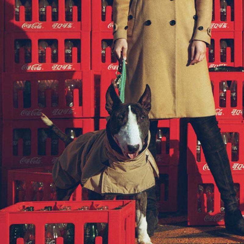 Winter Classic Trench Coat large dogs