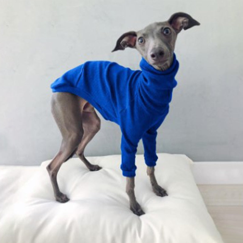 Pullover sweater small to large dogs