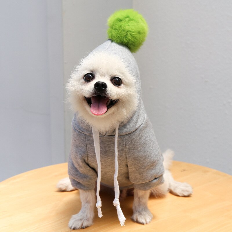 Hoodies cute costumes for small dogs