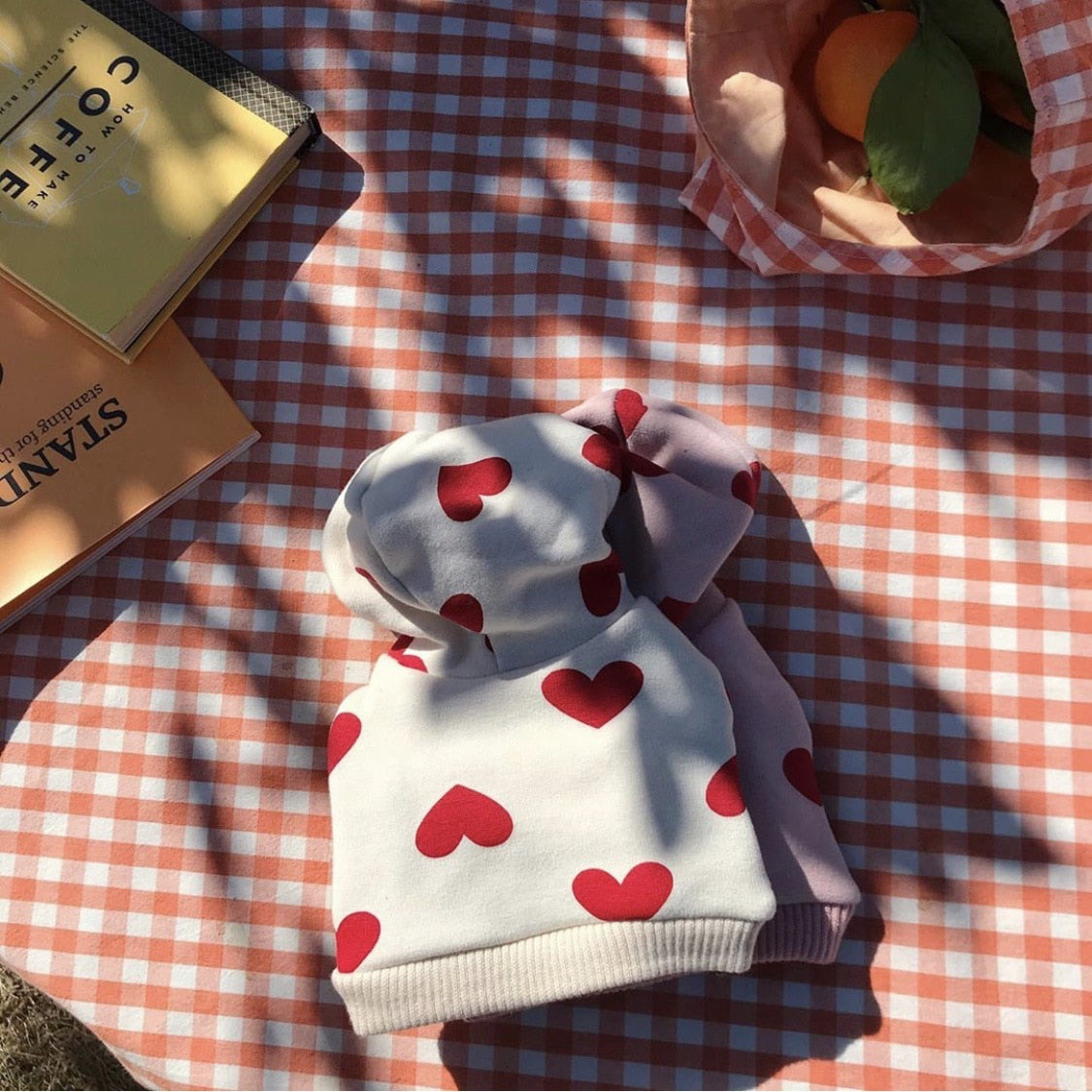 Hoodie Polka hearted for small dogs