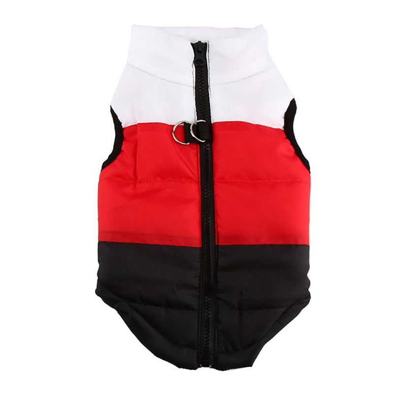 Winter puffy Jacket colorful