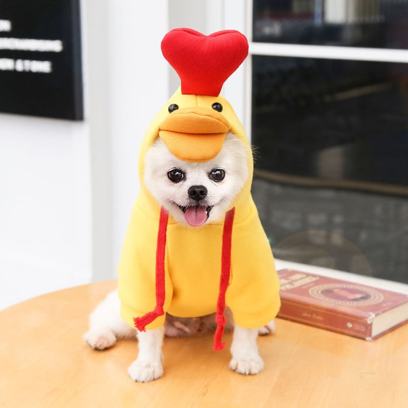 Hoodies cute costumes for small dogs