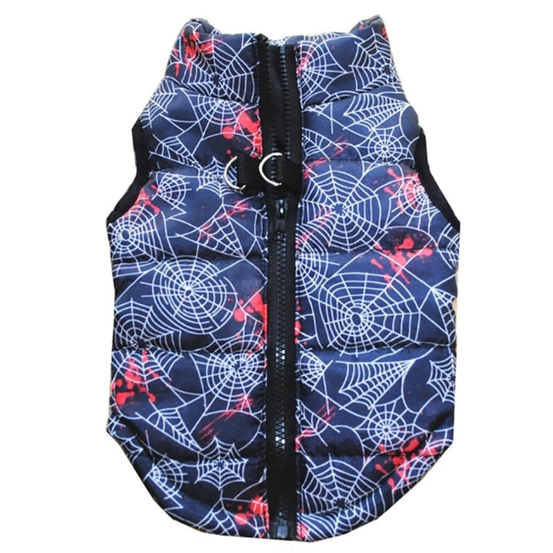 Winter puffy Jacket colorful