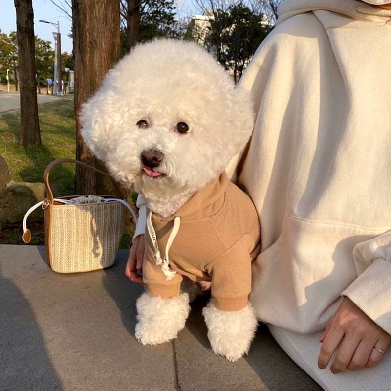 Hoodies Classic Small and Medium Dog