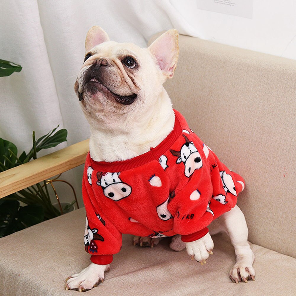 Pajamas for small dogs