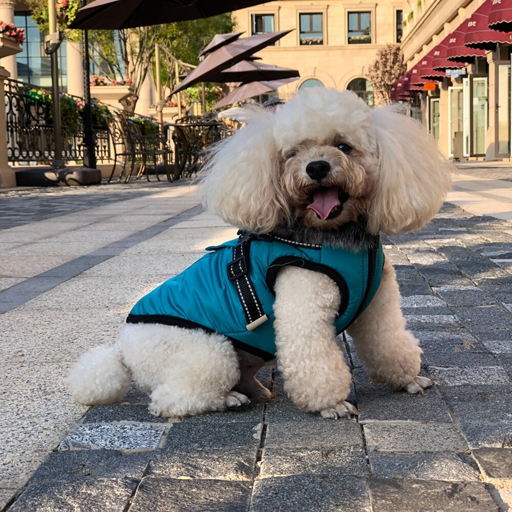 Winter Pet Dog Coat Dog Jacket with Harness Warm Soft Windproof with Hooded S-XXL with Zipper for Small Medium Dogs