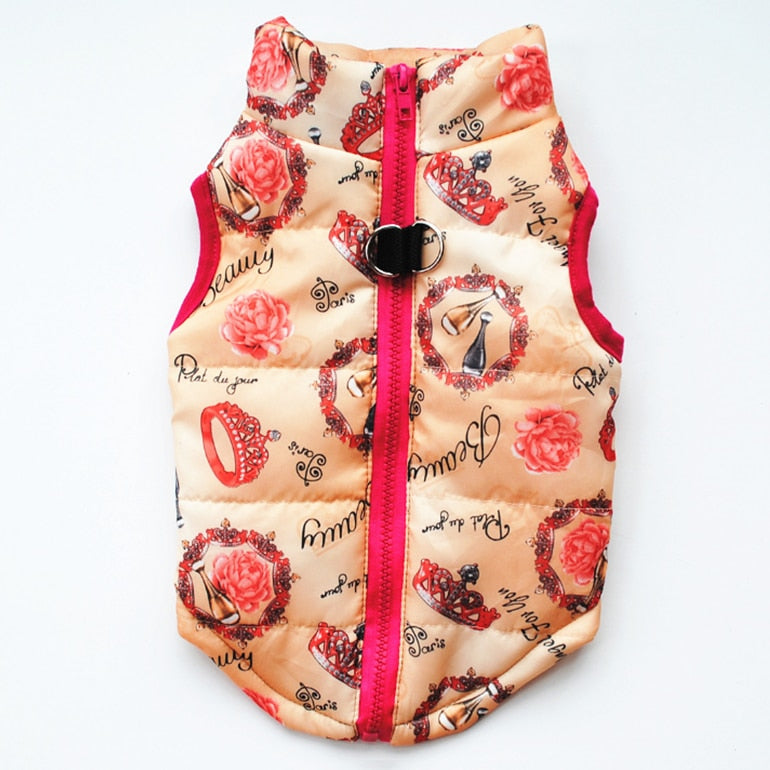 Winter puffy Jacket colorful