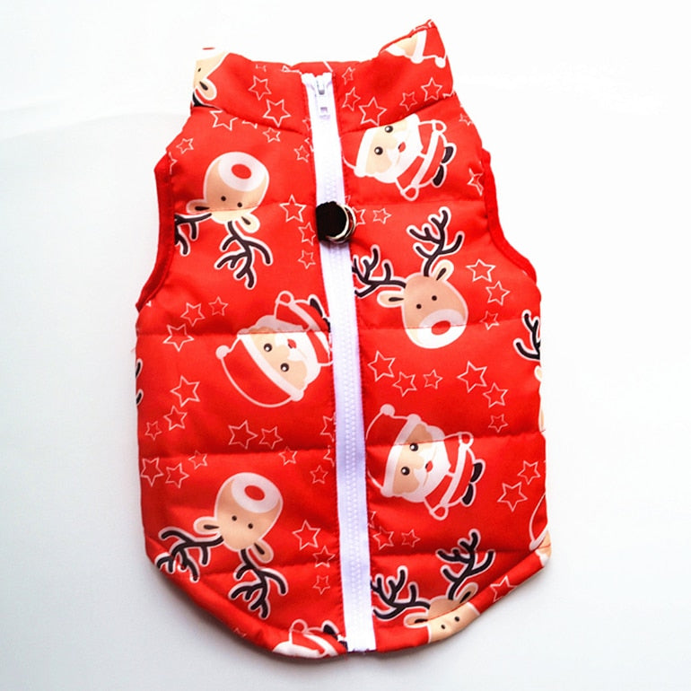 Winter puffy Jacket colorful