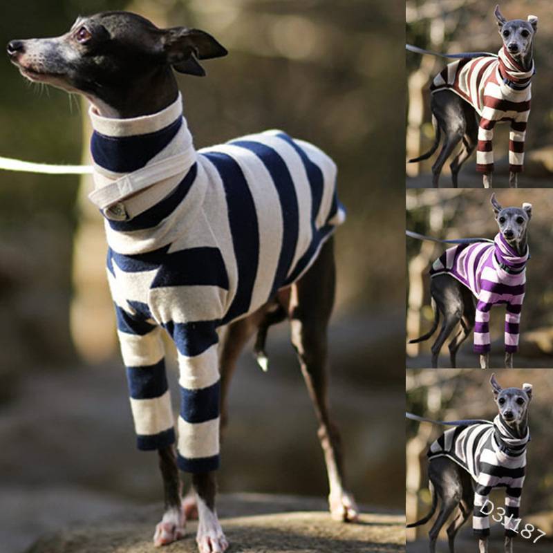 Jumper Two-legged, High-necked Cute Dog Clothing