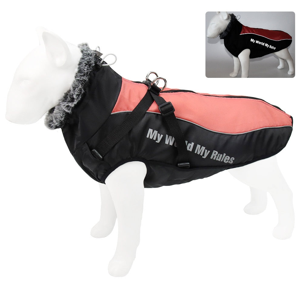 Winter Jacket with Fur Neck for Large Dogs