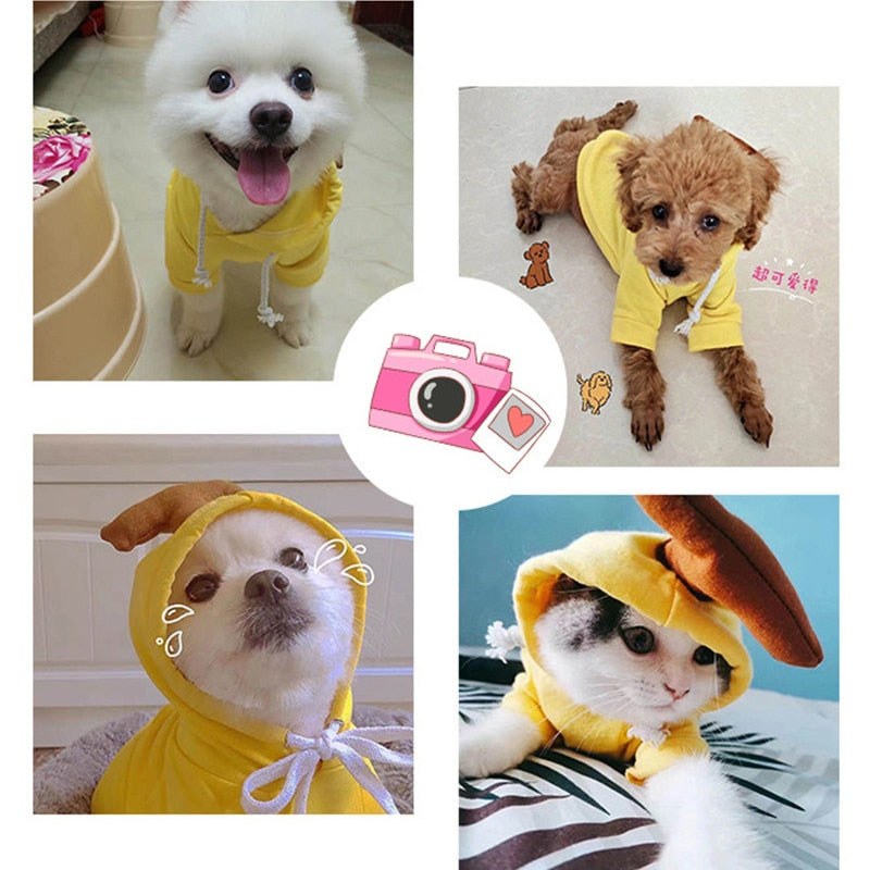 Hoodies cute costumes for small dogs