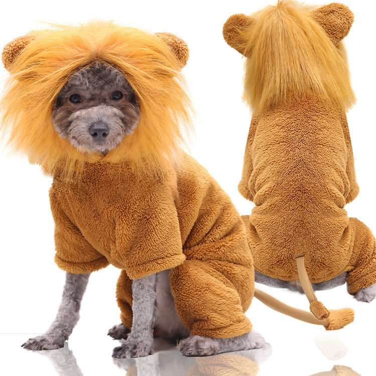 Hoodie Costume Jumpsuit
