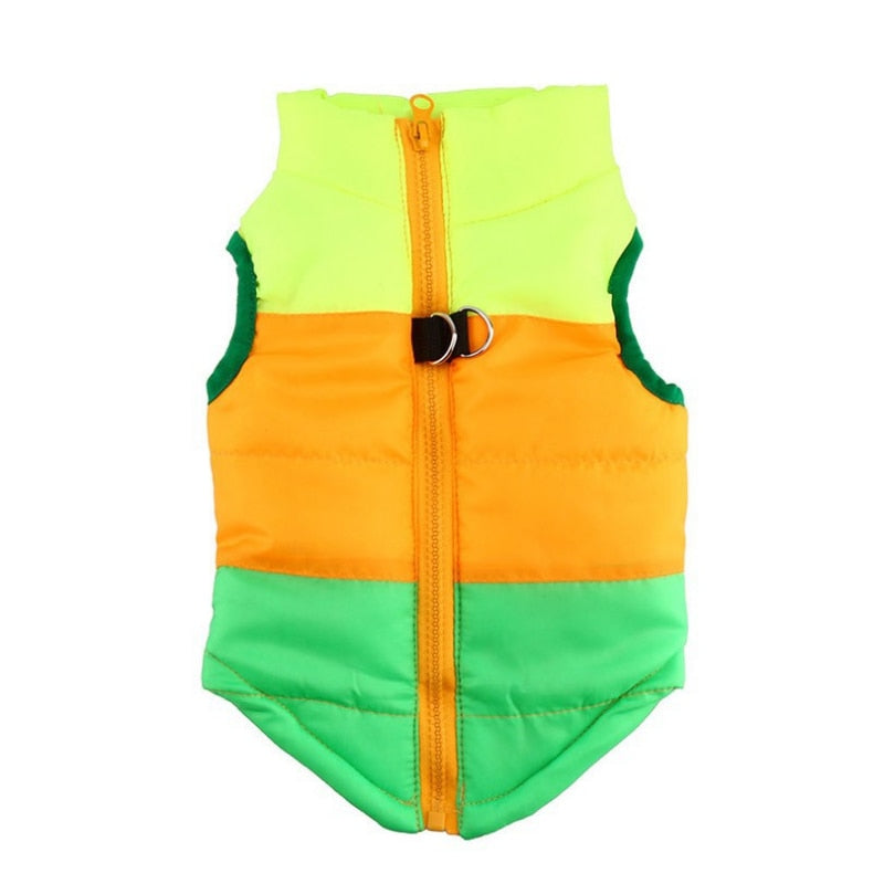 Winter puffy Jacket colorful