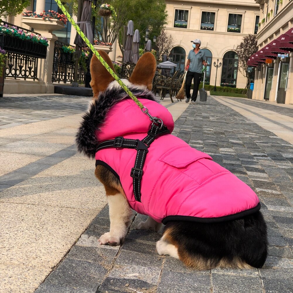 Winter Pet Dog Coat Dog Jacket with Harness Warm Soft Windproof with Hooded S-XXL with Zipper for Small Medium Dogs