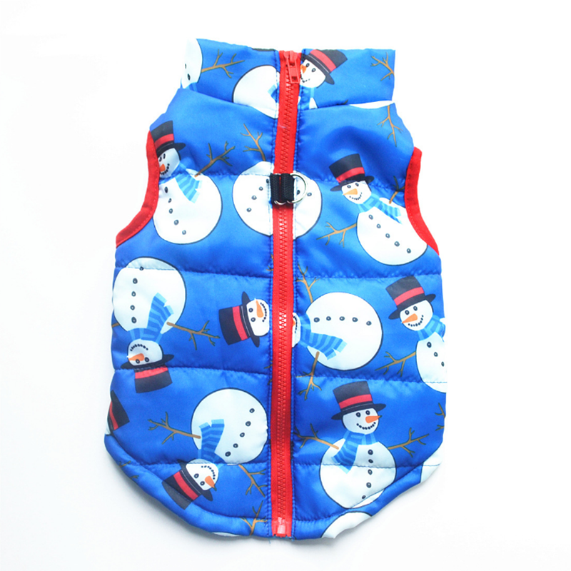 Winter puffy Jacket colorful