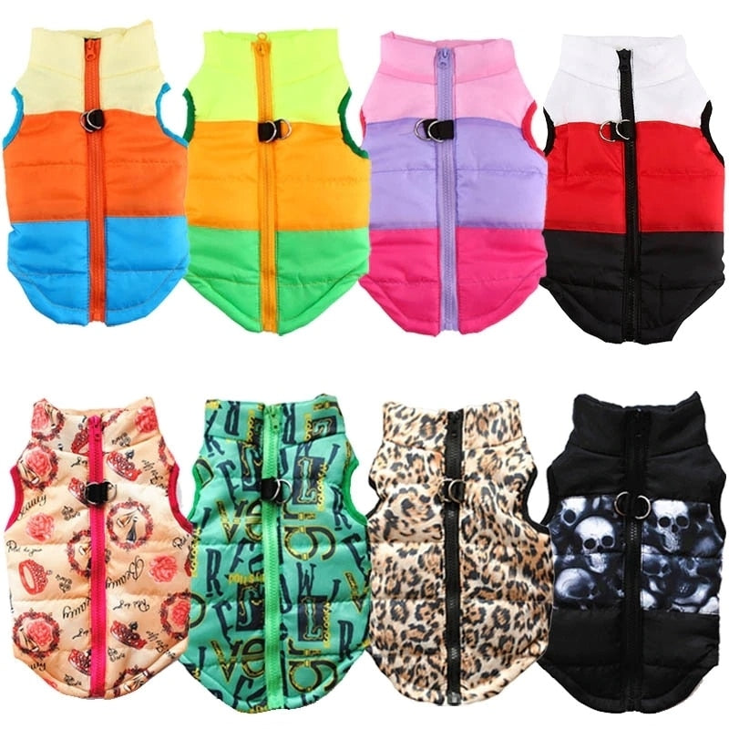 Winter puffy Jacket colorful